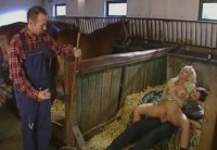 ����������� ������ ���� � ������ ������� �������� �����-���������